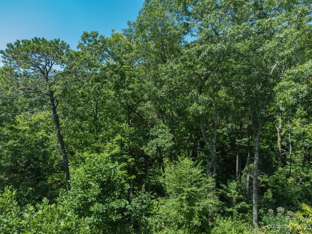105 Bartram Way, Black Mountain, NC 28711 - photo 13