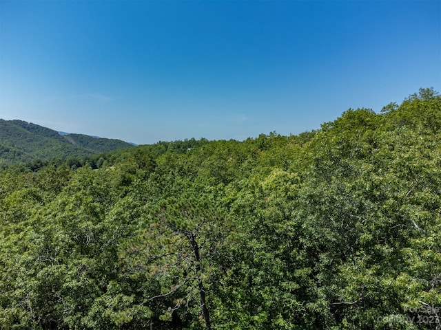 105 Bartram Way, Black Mountain, NC 28711 - photo 15