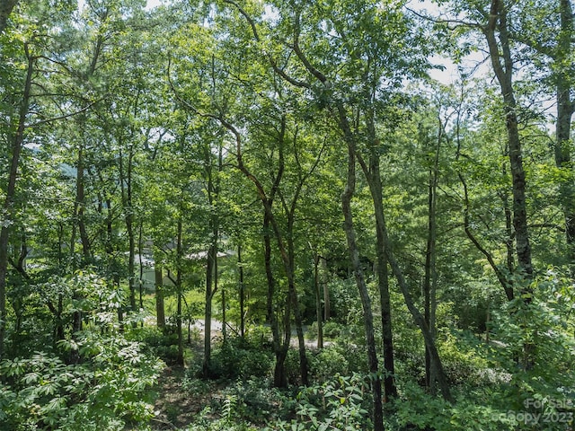105 Bartram Way, Black Mountain, NC 28711 - photo 16