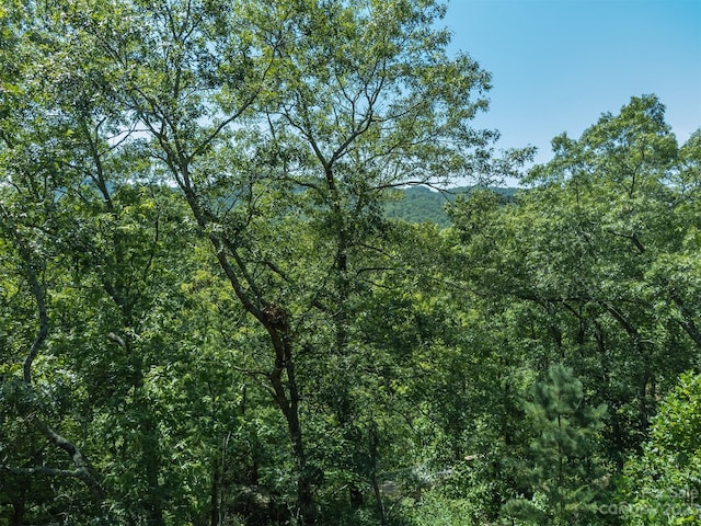 105 Bartram Way, Black Mountain, NC 28711 - photo 17