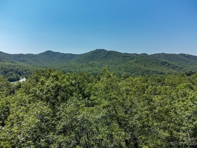 105 Bartram Way, Black Mountain, NC 28711 - photo 18