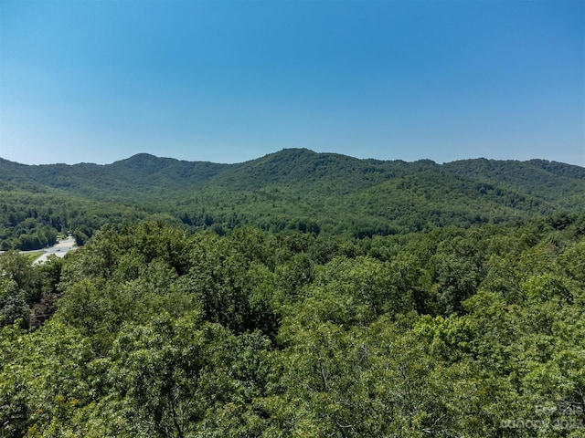 105 Bartram Way, Black Mountain, NC 28711 - photo 19