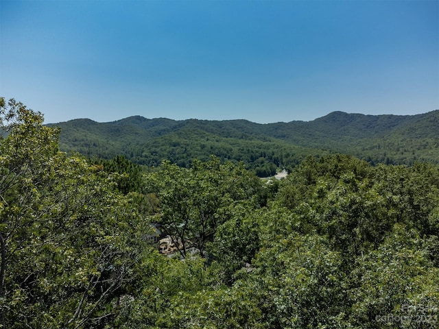 105 Bartram Way, Black Mountain, NC 28711 - photo 20