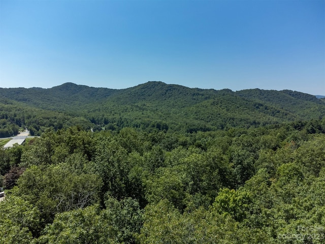 105 Bartram Way, Black Mountain, NC 28711 - photo 21