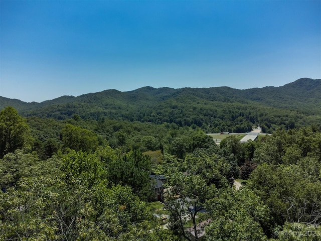 105 Bartram Way, Black Mountain, NC 28711 - photo 22