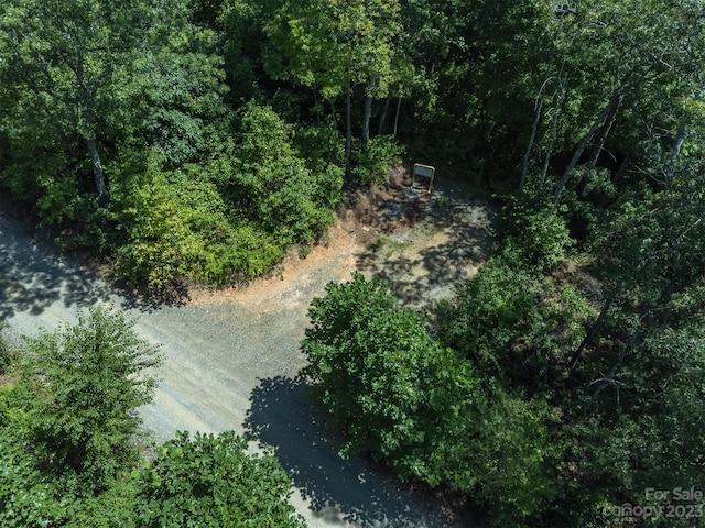 105 Bartram Way, Black Mountain, NC 28711 - photo 23