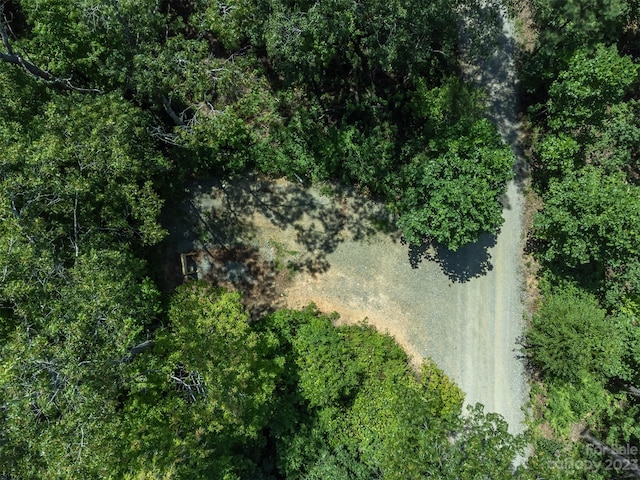 105 Bartram Way, Black Mountain, NC 28711 - photo 24