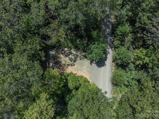 105 Bartram Way, Black Mountain, NC 28711 - photo 25