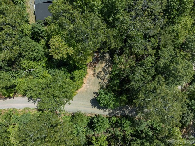 105 Bartram Way, Black Mountain, NC 28711 - photo 26