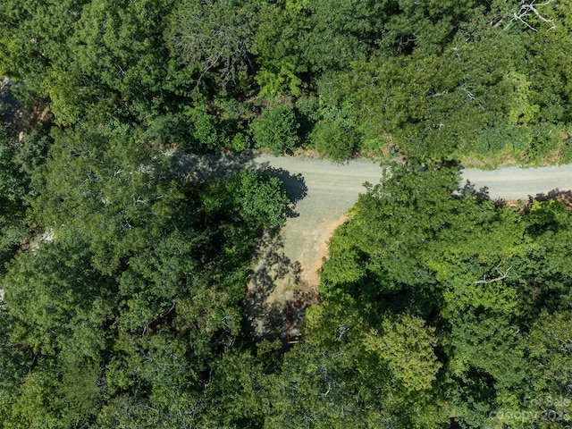 105 Bartram Way, Black Mountain, NC 28711 - photo 27