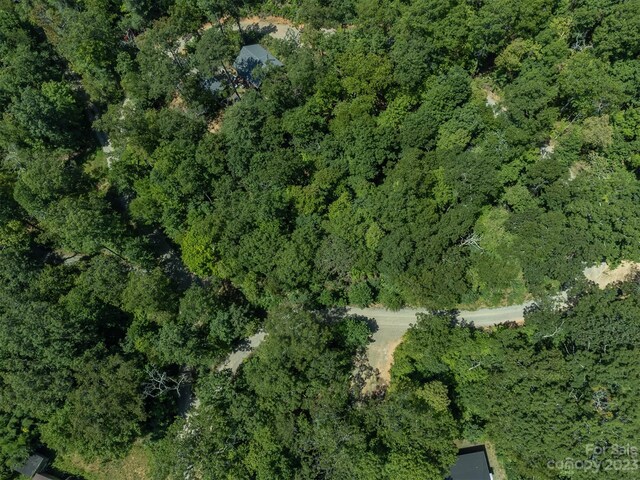 105 Bartram Way, Black Mountain, NC 28711 - photo 28