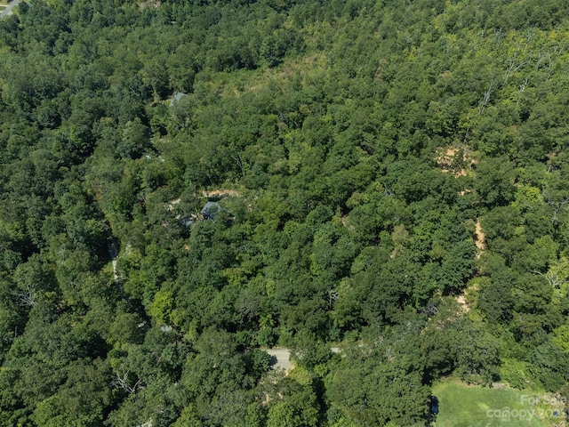 105 Bartram Way, Black Mountain, NC 28711 - photo 29