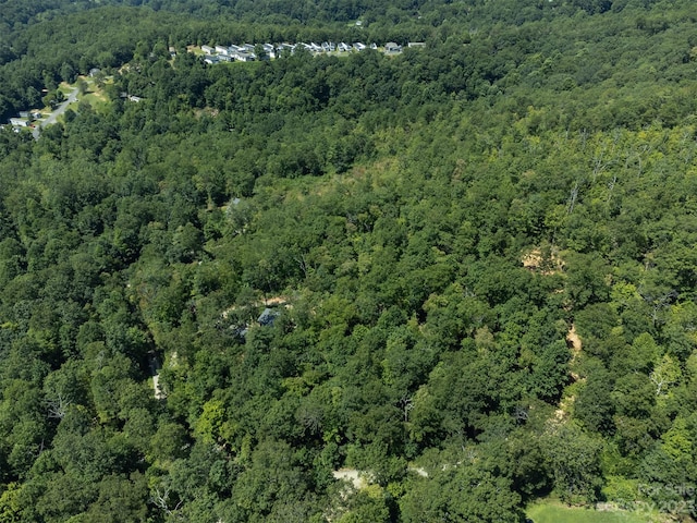 105 Bartram Way, Black Mountain, NC 28711 - photo 30