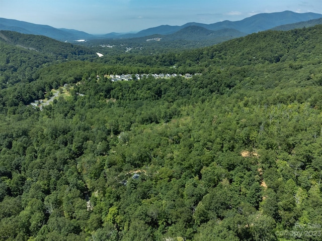 105 Bartram Way, Black Mountain, NC 28711 - photo 31