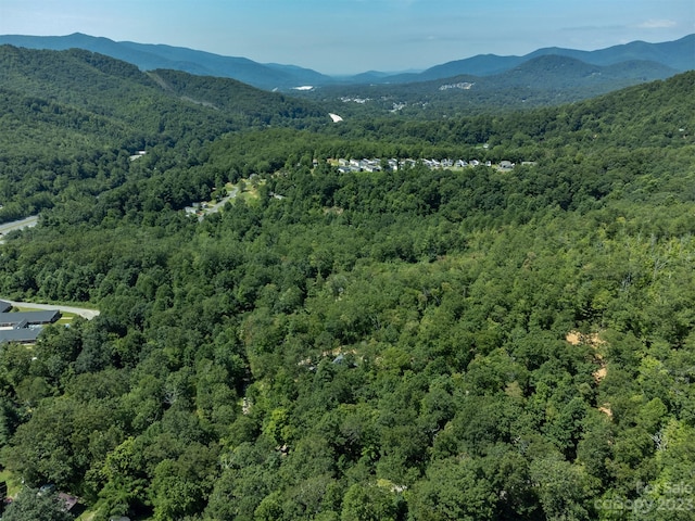 105 Bartram Way, Black Mountain, NC 28711 - photo 32
