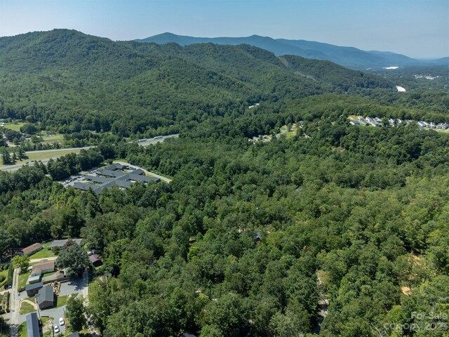 105 Bartram Way, Black Mountain, NC 28711 - photo 33