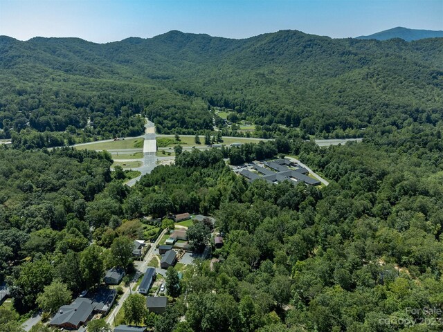 105 Bartram Way, Black Mountain, NC 28711 - photo 34