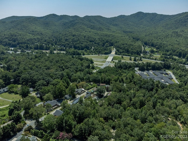105 Bartram Way, Black Mountain, NC 28711 - photo 35