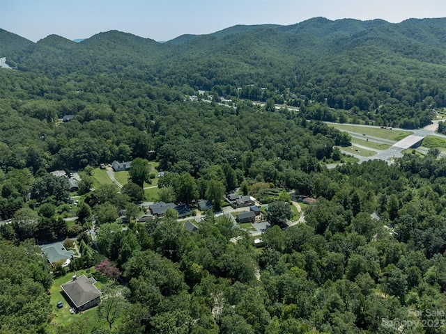 105 Bartram Way, Black Mountain, NC 28711 - photo 36