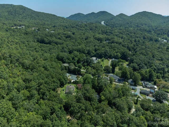 105 Bartram Way, Black Mountain, NC 28711 - photo 37