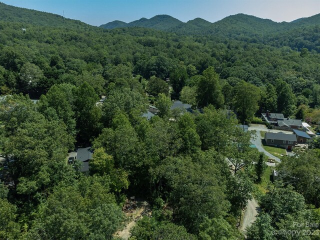 105 Bartram Way, Black Mountain, NC 28711 - photo 38