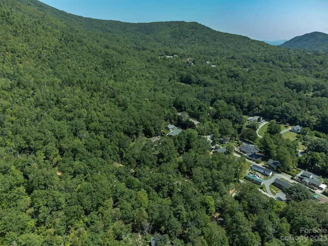 105 Bartram Way, Black Mountain, NC 28711 - photo 39