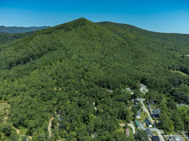 105 Bartram Way, Black Mountain, NC 28711 - photo 40