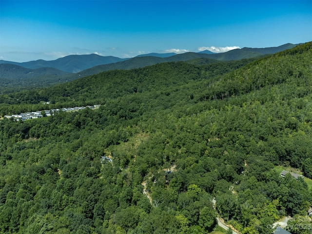 105 Bartram Way, Black Mountain, NC 28711 - photo 41