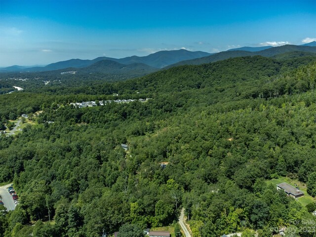 105 Bartram Way, Black Mountain, NC 28711 - photo 42