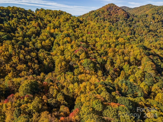 99999 Harwood Rd, Barnardsville, NC 28709 - photo 2