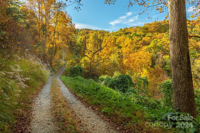 99999 Harwood Rd, Barnardsville, NC 28709 - photo 5