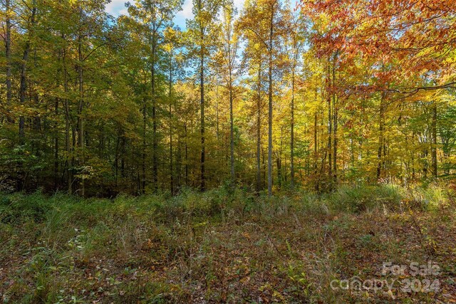 99999 Harwood Rd, Barnardsville, NC 28709 - photo 6