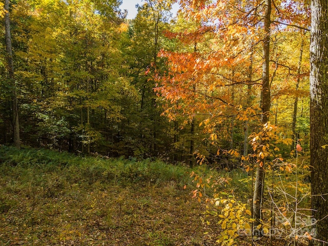 99999 Harwood Rd, Barnardsville, NC 28709 - photo 7