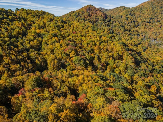 99999 Harwood Rd, Barnardsville, NC 28709 - photo 8