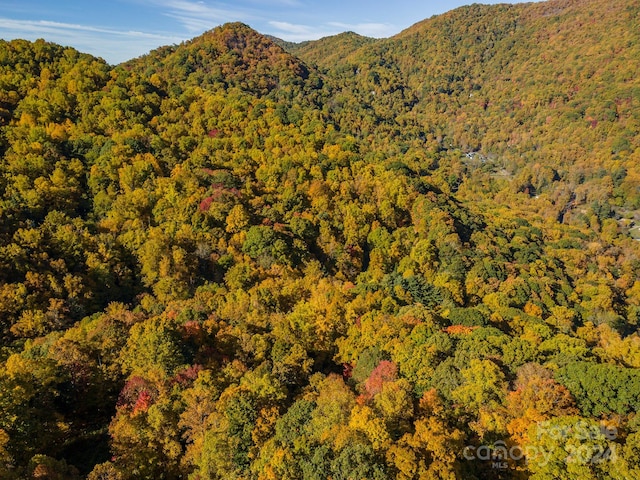99999 Harwood Rd, Barnardsville, NC 28709 - photo 9
