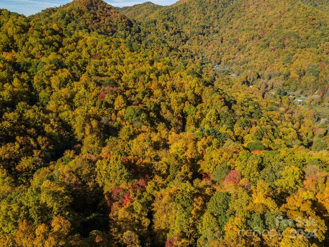 99999 Harwood Rd, Barnardsville, NC 28709 - photo 10