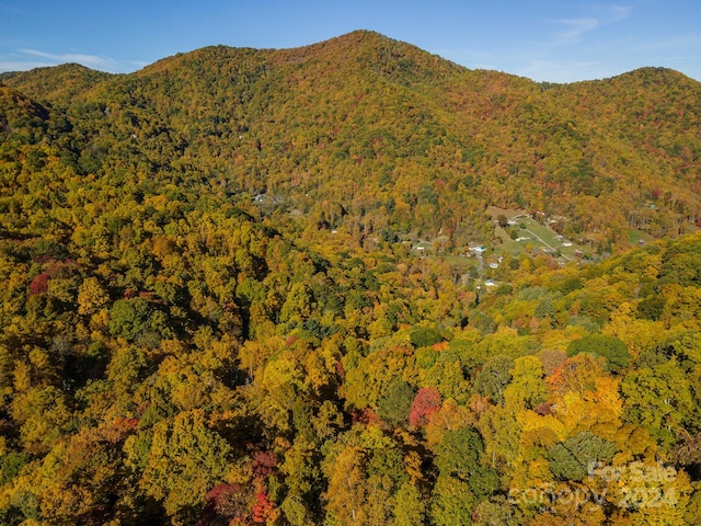 99999 Harwood Rd, Barnardsville, NC 28709 - photo 11