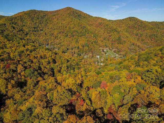 99999 Harwood Rd, Barnardsville, NC 28709 - photo 12