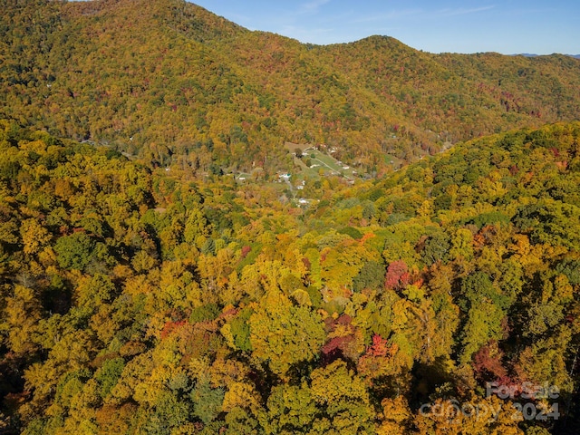 99999 Harwood Rd, Barnardsville, NC 28709 - photo 13