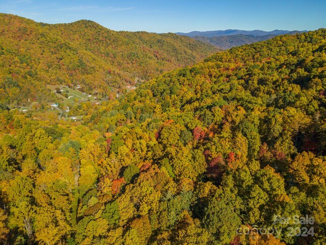 99999 Harwood Rd, Barnardsville, NC 28709 - photo 14