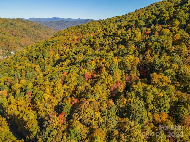 99999 Harwood Rd, Barnardsville, NC 28709 - photo 15