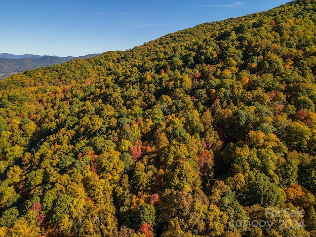 99999 Harwood Rd, Barnardsville, NC 28709 - photo 16
