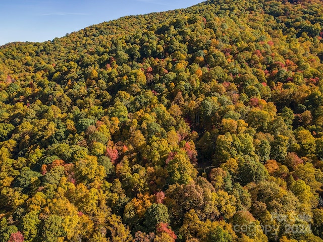 99999 Harwood Rd, Barnardsville, NC 28709 - photo 17