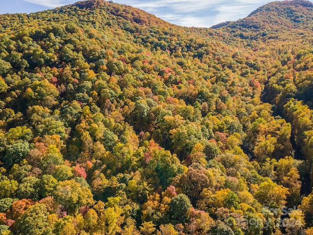 99999 Harwood Rd, Barnardsville, NC 28709 - photo 19