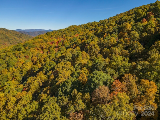 99999 Harwood Rd, Barnardsville, NC 28709 - photo 20