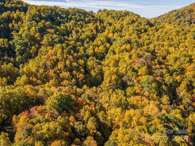 99999 Harwood Rd, Barnardsville, NC 28709 - photo 21