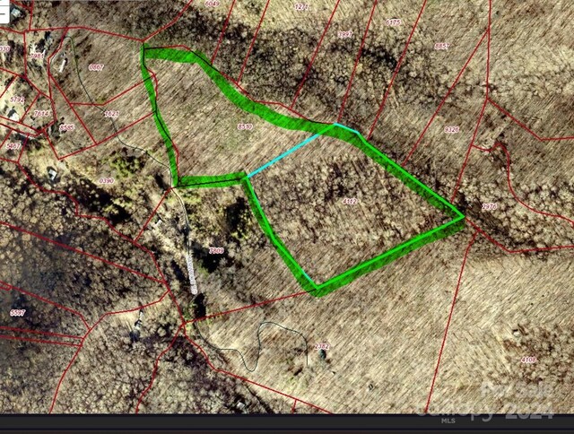 99999 Harwood Rd, Barnardsville, NC 28709 - photo 4
