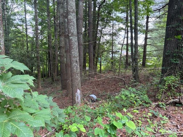 39 Acorn Ln, Pisgah Forest, NC 28768