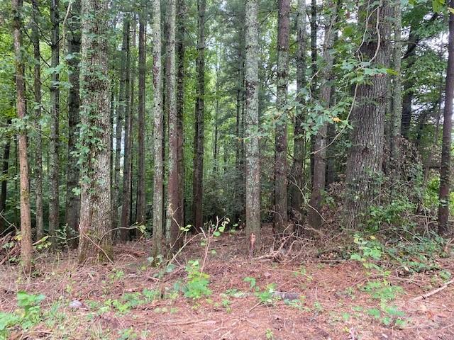 39 Acorn Ln, Pisgah Forest, NC 28768