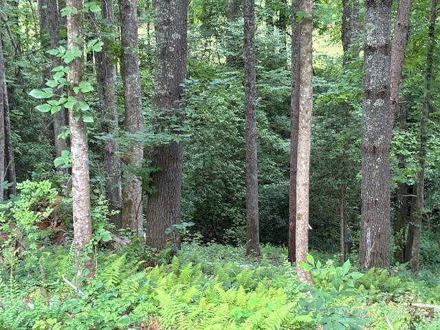 39 Acorn Ln, Pisgah Forest, NC 28768